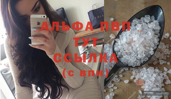 прущие грибы Осинники