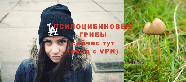 ALPHA PVP Алзамай